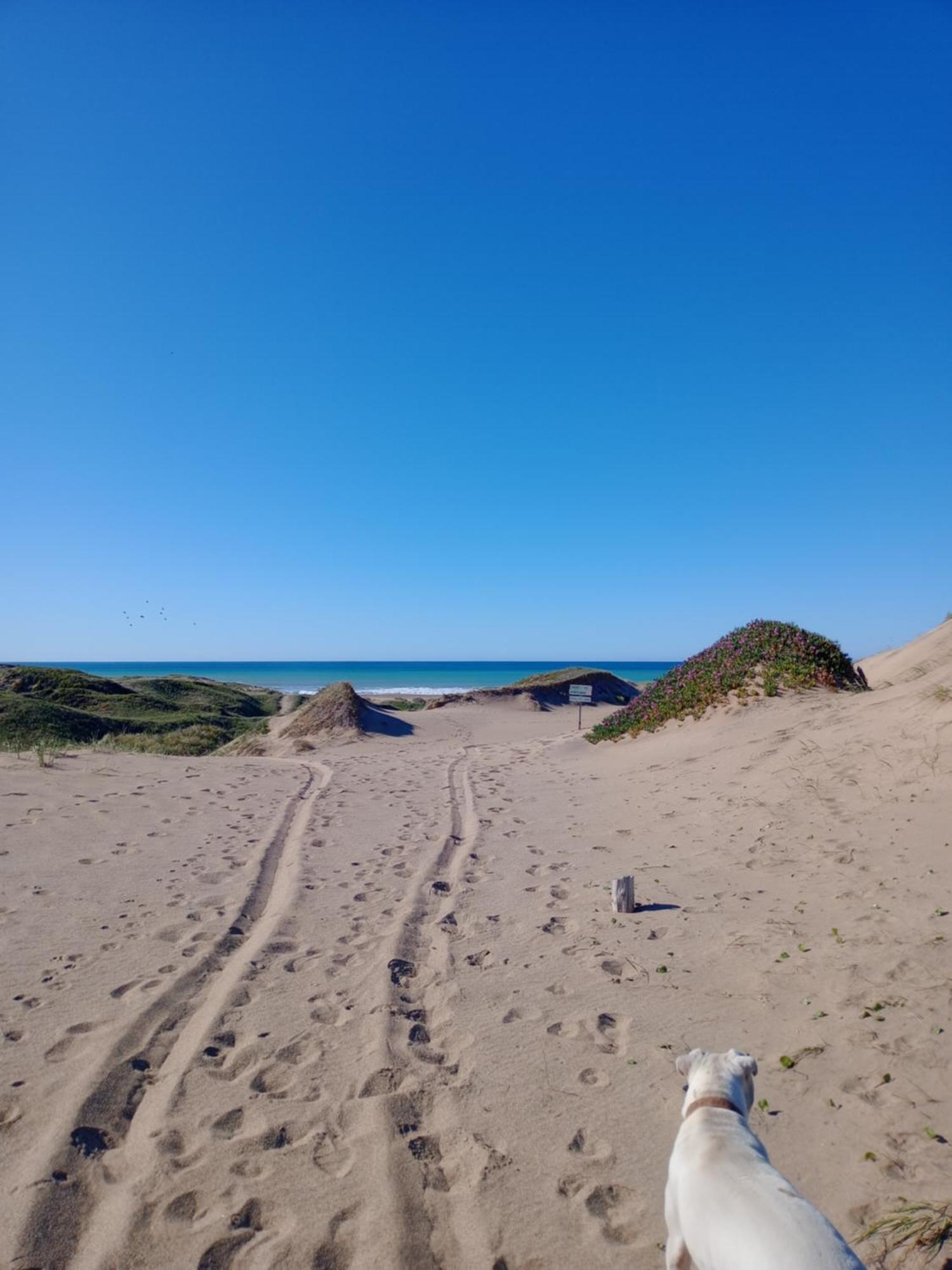 Foresta Acantilados, Casa Container Y Cabana De Troncos Mar del Plata Exteriér fotografie