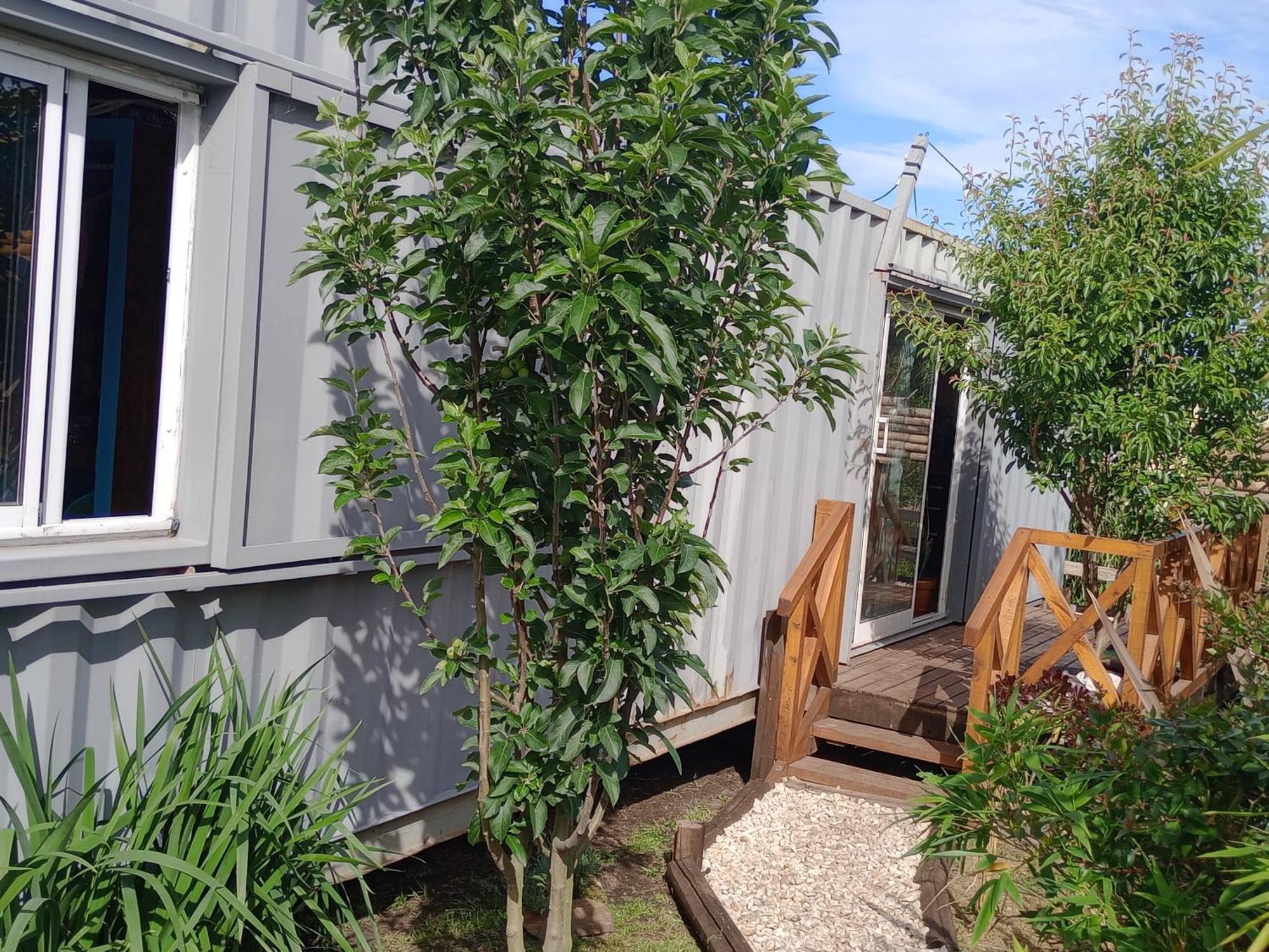 Foresta Acantilados, Casa Container Y Cabana De Troncos Mar del Plata Exteriér fotografie